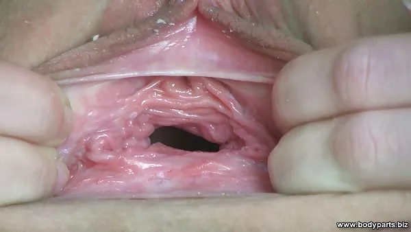 性感的女士内衣的阴部是同性恋他妈的玩具