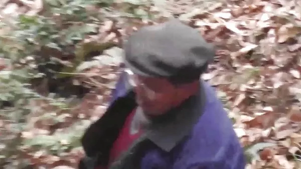 仙子尾部同人无尽的野生色情书中的圣经
